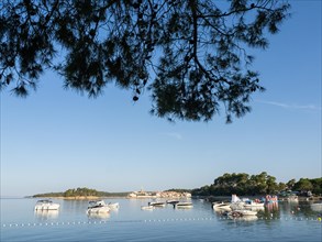 Boats anchoring in a bay, behind the town of Rab, island of Rab, Kvarner Gulf Bay, Croatia, Europe