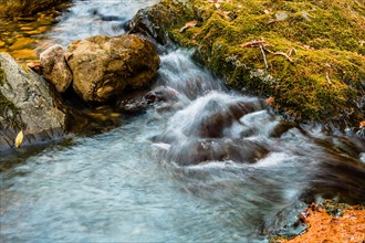 Close-up of a stream with clear flowing water over rocks covered with moss and autumn leaves, in