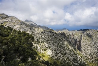 Serra de Tramuntana, Majorca, Majorca, Balearic Islands, Spain, Europe