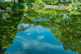 Tranquil pond with clear reflections of surrounding trees and blue sky, in South Korea