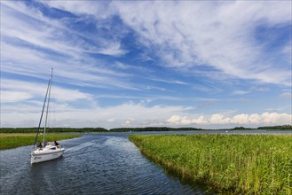 Natural landscape, sailing boat, water sports nature, puristic, reed, seaweed, water, lake,