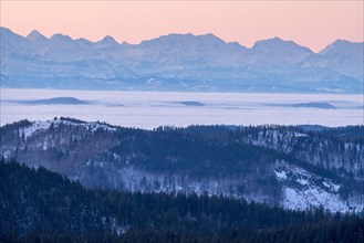 View from Feldberg to the Swiss Alps, in front of sunrise, Breisgau-Hochschwarzwald district,