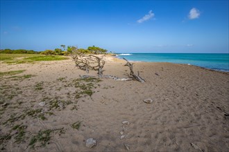 Nature in a special way, a secluded bay with a sandy beach and turquoise blue sea. In the sand lies