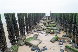 Rough groynes with seaweed and stones on the beach under a cloudy sky, Westkapelle, Zeeland,