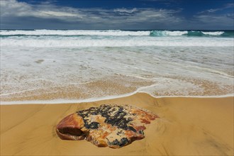 Textured stone on the beach, sea, Atlantic coast, coast, surf, surf, emotion, calmness, nobody,
