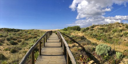 Walkway through the dune landscape, dune, beach, summer holiday, panorama, nature, natural