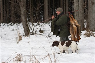 Hunter with shot winter foxes (Vulpes vulpes) in the snow, at his side hunting dog small