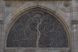 Beautiful ornamented window in the Sidi Saiyyed Mosque, Unesco site, Ahmedabad, Gujarat, India,
