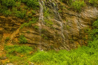 Cascading water flows down a cliff with a dense cover of green plants, in South Korea