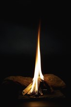 Bonfire in the night, trunk of wood burning black background and copy space
