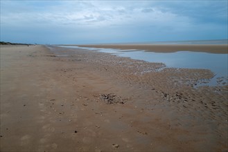 A gentle beach with clusters of water and an overcast sky that conveys peacel, DeHaan, Flanders,