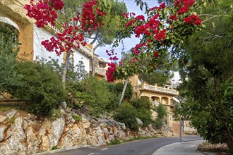 Road leading to a luxurious villa with Mediterranean architecture surrounded by flowers, Peguera,