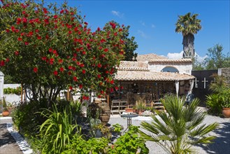 Inviting Mediterranean-style restaurant, surrounded by flowers and palm trees, inner courtyard of