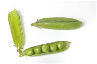 Peas on a white background
