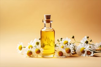 Glass bottle with chamomile essential oil and flowers on yellow studio background. KI generiert,