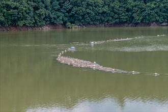 Island of trash and debris in reservoir being collected by net in Daejeon South Korea