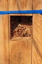 Entrance to a wooden box as an insect hotel to help rare beetles, Sweden, Europe