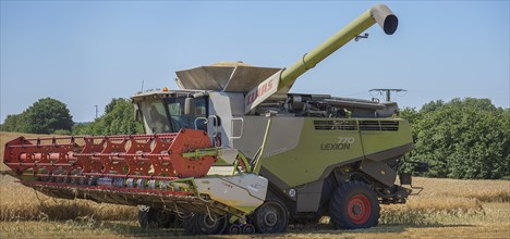 Combine harvester on a barleys (Hordeum vulgare), Mecklenburg-Vorpommern, Germany, Europe
