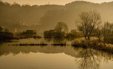 Misty golden hour scene over a lake with tree reflections, in South Korea
