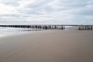 Sandy beach with a series of breakwaters that reach into the sea