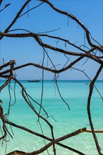 Andaman Sea photographed with longtail boat through branches, turquoise, clear water, travel,