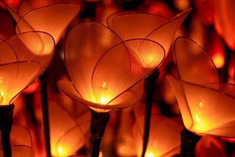 Close-up of delicate flower-shaped lights with translucent petals glowing warmly, Chiang mai,