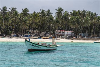 Little boats before a palm fringed white sand beach, Agatti Island, Lakshadweep archipelago, Union