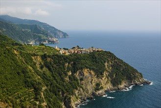 Village with colourful houses by the sea, Corniglia, UNESCO World Heritage Site, Cinque Terre,