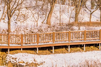 Long wooden walkway bordered with railings covered in snow through a serene winter setting, in