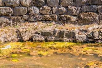Textured stone wall beside algae-covered water, reflecting sunlight, in South Korea