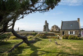 House by the sea, Plougrescant, Cote de Granit Rose, Cotes d'Armor, Brittany, France, Europe