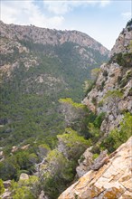 Mountain landscape with steeply rising rock faces and dense woodland, Mediterranean vegetation with