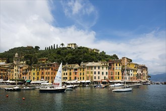 Village with colourful houses and harbour by the sea, Portofino, Province of Genoa, Liguria, Italy,