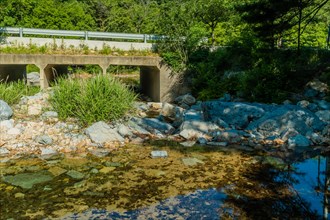 Stream running under a bridge with clear water revealing rocks beneath and lush greenery on the