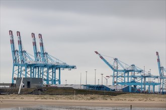 Container cranes in the harbour area stand over an empty sandy beach under a cloudy sky, Zeebrugge,