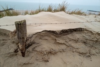 Detailed view of a dune with barbed wire fence and dry grass. Westkapelle, Zeeland, Netherlands