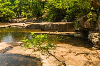 A tranquil water basin surrounded by rocks and green trees in a serene environment, in South Korea