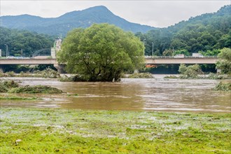 Swollen river and flooded areas with trees, under a cloudy sky, in South Korea