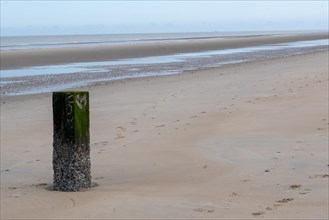 Single post on an empty beach at low tide with wet sand, DeHaan, Flanders, Belgium, Europe