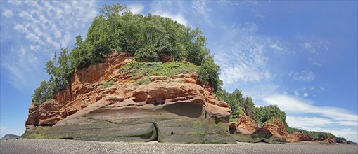 Wooded cliffs, red sandstone, Five Islands Provincial Park, Fundy Bay, Nova Scotia, Canada, North