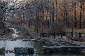 Stream flowing through a wooded area with a bridge at dusk, creating a peaceful scene, in South