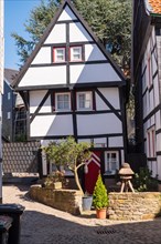 Small half-timbered house with red door and potted plants in the sunshine, Old Town, Hattingen,