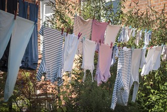 Laundry, drying, clothesline, striped