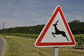 Road sign indicating the passage of wild animals in France