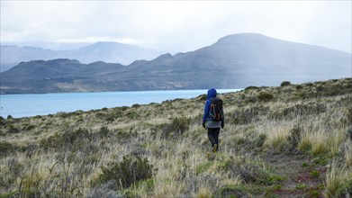 Hiker in stormy weather in the wilderness of Patagonia, Perito Moreno National Park, Argentina,