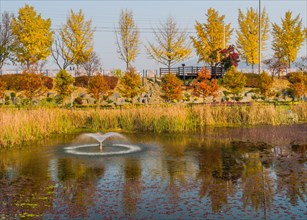 Urban park with a fountain, pond, autumn trees, and landscaped reeds, in South Korea