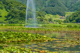 A serene pond dotted with water lilies and a fountain set against a hilly backdrop, in South Korea