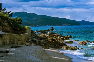 Coastal scenery with rocky shore, pine trees, and dark cloudy sky overhead, in South Korea