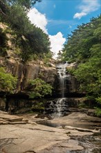 A serene waterfall flowing down a rocky cliff surrounded by dense greenery under a clear blue sky,
