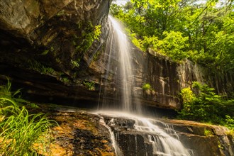 Bright sunshine illuminates a waterfall cascading down a cliff surrounded by green foliage, in